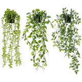 Kunstplanten hangend, 3 stuks kunstmatige hangplanten, bossige herfstplanten, klimop kunstplanten, eucalyptus decoratie, mandala wijnstok voor binnenbalkon en buitentuindecoratie, 55-80 cm