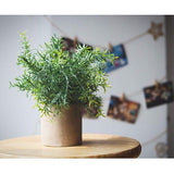 3 stuks kunstplanten mini kunstplanten echte eucalyptus rozemarijn babysbreath klein met potten tafeldecoratie huis balkon kantoordecoratie