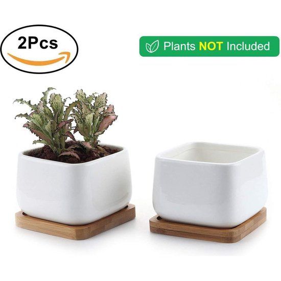 T4U 9,5CM Succulente Plantenpot Set van 2, Vierkant Keramiek Vetplant Bloempot met Bamboe Onderzetter, Binnen Klein Cactus Pot met Afvoergat Wit voor Sappige Aloë Kruid Decoratieve Geschenk