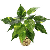 Kunstmatige pothosplant in mand pothos plant gouden klimop kamerplant kunst decoratie zijden bloem real touch groene kunstplant kunstbloem bladplant decoratieve plant groene plant bush aronsteen