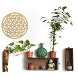 De Bloem des Levens is een van de meest bekende vormen van heilige geometrie