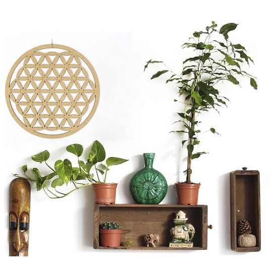 De Bloem des Levens is een van de meest bekende vormen van heilige geometrie