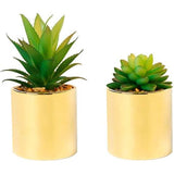 Kunstmatige succulente simulatiepot met potten 8 cm - Set van 2