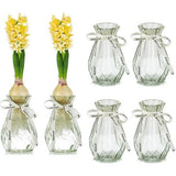 Glazen vazen voor bloemen met zijden touw, 6 stuks moderne hyacintvazen, knopavocadovaas, zoete erwtenvaas voor hydrocultuurplanten, narcissen, orchideeën, voor bureautafel, binnen, vensterbankdecoratie