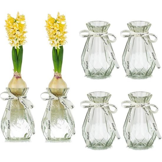 Glazen vazen voor bloemen met zijden touw, 6 stuks moderne hyacintvazen, knopavocadovaas, zoete erwtenvaas voor hydrocultuurplanten, narcissen, orchideeën, voor bureautafel, binnen, vensterbankdecoratie