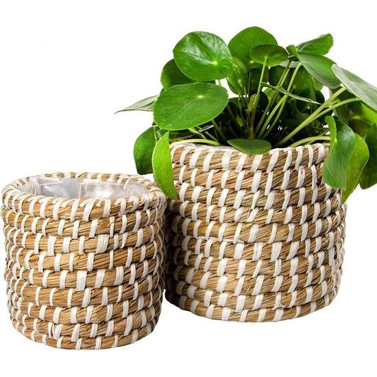 Mand set van 2 zeegras sierpotten plantenpot ronde bloempot plant opbergmand (wit-beige)