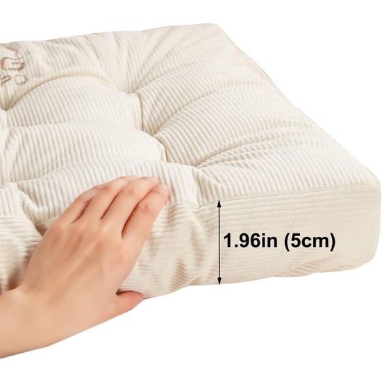 Zitkussen met banden, 55 x 55 cm, stoelkussen voor stoelen en vloeren, zacht zitkussen voor thuis, kantoor, banken en alle stoelen, beige (1 stuks)