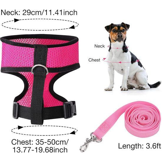 2 stuks verstelbaar kippenharnas, trainingsharnas en riem voor 7,5 - 8 kg eendengans, kippen, kleine huisdieren, roze-rood en blauw