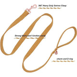 Hondenhalsbanden geel, hondenhalsbanden en lijn van geel, comfortabele verstelbare hondenhalsband voor kleine middelgrote honden