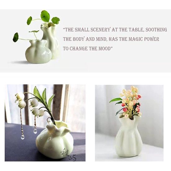 Keramiek bloemenvazen ​​set, 2 stuks decoratieve creatieve vazen, hydrocultuur creatief bloemstuk, voor thuis kantoor woonkamer decoratie ornament
