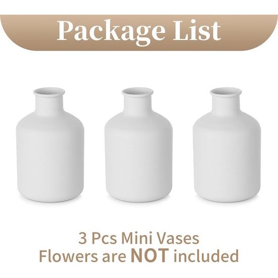 Mini Witte Bloemenvaas - Kleine Bud Vaasjes voor Gedroogde Kunstbloemen 3 stuks Leuke Scandinavische Vaasjes voor Woonkamer Minimalistisch Klein Vaasje voor Bruiloft Kerstmis Verjaardag Tafelstuk Decoratie