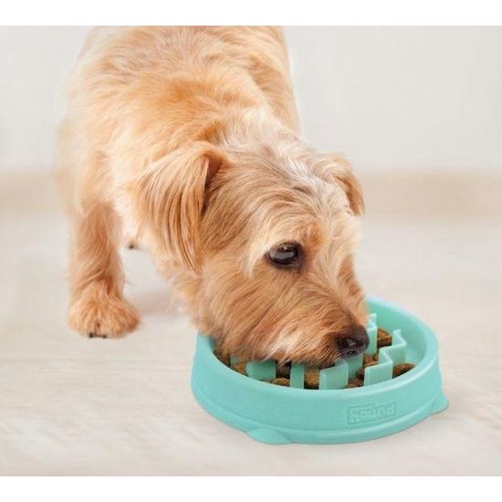 Outward Hound Fun Feeder - Anti Schrok Hondenvoerbak - 6 kleuren en 3 maten - door Dierenartsen aanbevolen Slow Bowl - Large/Regular - Grijs