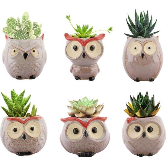 Succulents Flowerpots, 6 Pack 6 Uil Flower Pot Bonsai Plant Pots Keramische Planter Container Set voor Thuis Kantoor Desk Plant Plant Raam Decoratie