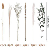 Droogbloemen, decoratie, pampasgras, gedroogde bloemen, natuurlijke gedroogde bloemen, eucalyptus, decoratie, planten, boeket, boho, pampasgras, decoratie voor woonkamer, thuis, bruiloft,