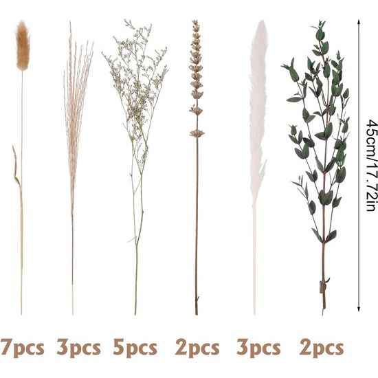 Droogbloemen, decoratie, pampasgras, gedroogde bloemen, natuurlijke gedroogde bloemen, eucalyptus, decoratie, planten, boeket, boho, pampasgras, decoratie voor woonkamer, thuis, bruiloft,