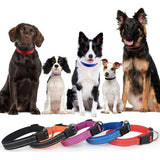 Hondenhalsband, verstelbaar, zacht gevoerd, neopreen, nylon, reflecterende halsband, ademend, instelbaar, met identificatielabel voor kleine, middelgrote en grote honden, oranje, S