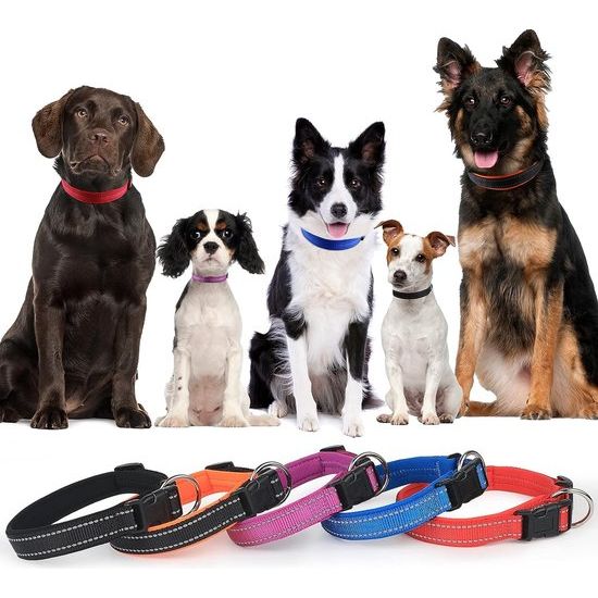 Hondenhalsband, verstelbaar, zacht gevoerd, neopreen, nylon, reflecterende halsband, ademend, instelbaar, met identificatielabel voor kleine, middelgrote en grote honden, paars, XL