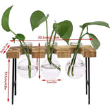 Hydrocultuur glazen vaas, hydrocultuur vaas, desktopplant, terrariumglas, met houten rek, voor hydrocultuur, planten, luchtplanten, terrarium, thuiskantoor, tuindecoratie, 3 bloemenvaas