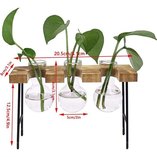 Hydrocultuur glazen vaas, hydrocultuur vaas, desktopplant, terrariumglas, met houten rek, voor hydrocultuur, planten, luchtplanten, terrarium, thuiskantoor, tuindecoratie, 3 bloemenvaas