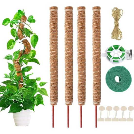 Monstera Plantenstaaf, 4 stuks, 70 cm, monstera, klimhulp, flexibele mosstaaf, plantenstaaf, Monstera, voor klimplanten, plantennaam, plantentijd, plantenondersteuning