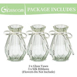 Glazen vazen voor bloemen met zijden touw, 3 stuks moderne hyacinten vazen, Bud Avocado vaas, edelwikkvaas voor hydrocultuur planten, narcissen en orchideeën voor op het bureau, de vensterbank of binnenshuis.