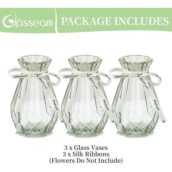 Glazen vazen voor bloemen met zijden touw, 3 stuks moderne hyacinten vazen, Bud Avocado vaas, edelwikkvaas voor hydrocultuur planten, narcissen en orchideeën voor op het bureau, de vensterbank of binnenshuis.