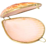 Creatieve halsketting met natuurlijke schelp, 6 cm, voor vrouwen en meisjes, willekeurige kleur