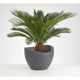 Plantenpot, zwart/graniet, diameter 30 cm, hoogte 22 cm