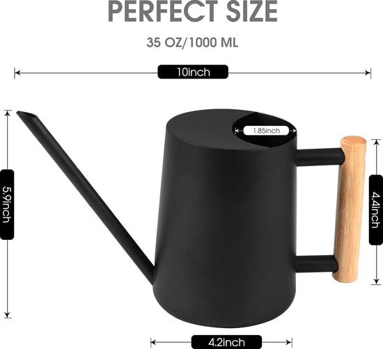 Gieter kamerplanten, 1000 ml, metaal, roestvrij staal, kleine moderne irrigatiepot met lange uitloop voor kamerplanten, bonsai, outdoor, tuin, bloemendecoratie (zwart)