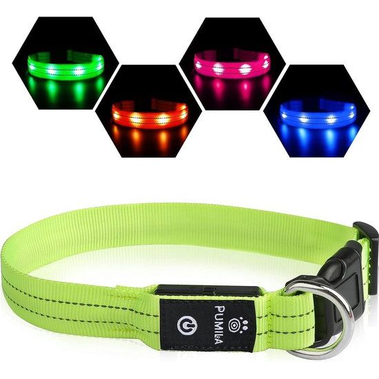 Halsband Oplichtende Kraag Waterdichte LED-halsband USB Oplaadbaar Knipperende Reflecterende Halsbanden Verstelbaar Super Helder voor Grote Middelgrote Kleine Honden,Groen-M