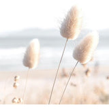 Fotoset, klaar om op te hangen, geen extra lijst nodig, strand, zee, Relax, modern, beige, woonkamer, slaapkamer.