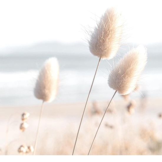 Fotoset, klaar om op te hangen, geen extra lijst nodig, strand, zee, Relax, modern, beige, woonkamer, slaapkamer.
