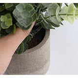 3 stuks kunstplanten mini kunstplanten echte eucalyptus rozemarijn babysbreath klein met potten tafeldecoratie huis balkon kantoordecoratie