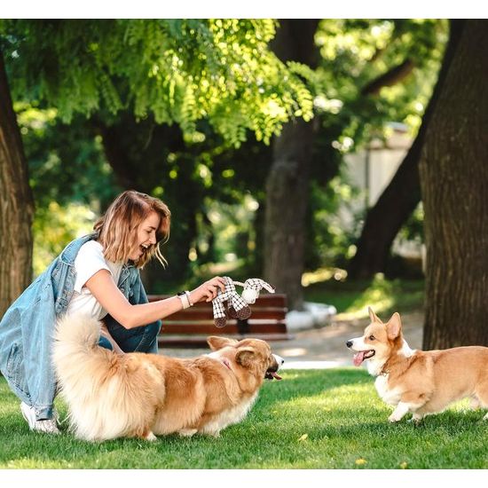 Touwtrekken Pluche Hondenspeelgoed Interactief Hondenspeelgoed tegen verveling Piepend Zacht Kauwen Katoen Gevuld Onverwoestbaar voor Kleine Middelgrote Huisdieren Puppy's Schapen Wit