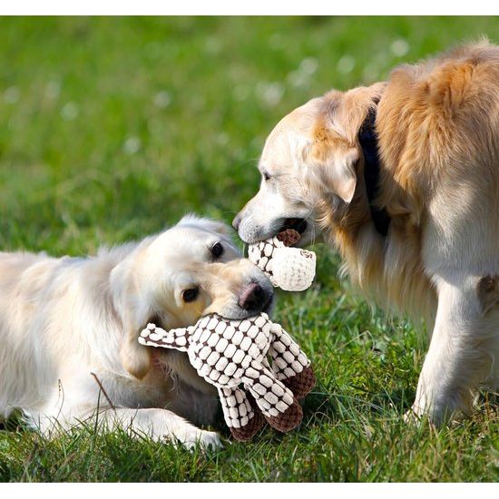 Touwtrekken Pluche Hondenspeelgoed Interactief Hondenspeelgoed tegen verveling Piepend Zacht Kauwen Katoen Gevuld Onverwoestbaar voor Kleine Middelgrote Huisdieren Puppy's Schapen Wit