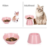 Kattenbak, kattenvoerbak, verhoogd met 15° kanteling, anti-braken kattenbakken voor voedsel en water, roze