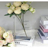 Boekenvaas, Heldere Boekenvaas, Tulpenvaas, Tafeldecoratie, Bloemenvaas, Kleine Vazen voor Tafeldecoratie, Heldere Boekenvaas, Bloemenvaas van helder acryl voor bloemen of kunstbloemen