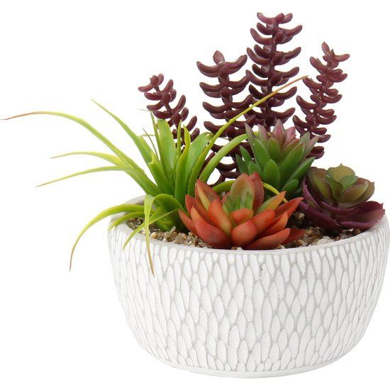 Kunstplant, vetplanten, kunstmatige kamerplant, vetplant, decoratieve tafeldecoratie, woonkamer, vetplant, in cementpot, voor badkamer, bureau, sideboard, hoogte 16 cm