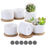 6-delige 3 inch keramische plantenbakken, klassieke ronde succulente plantenbakken, keramische plantenbakken, witte mini decoratieve bonsaipotten