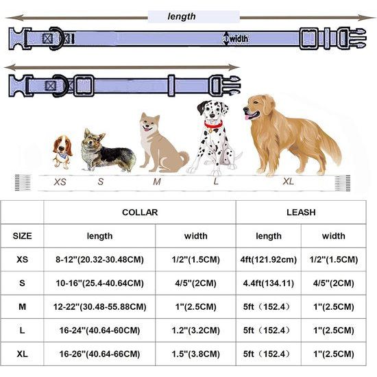 Hondenhalsbanden geel, hondenhalsbanden en lijn van geel, comfortabele verstelbare hondenhalsband voor kleine middelgrote honden