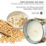 Citronella Kaarsenset, geurkaarsenset, 2 stuks, 100% sojawas, groot, decoratief en zomercadeau, perfect voor kamperen, grillen, picknicks, tuin, slaapkamer, binnen en buiten, 383 g/50 uur