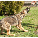 Hondenspeelgoed, robuust touwkauwspeeltje voor agressieve kauwers, interactief touwtrekken, hondentouwen voor honden, tandenpoetsen