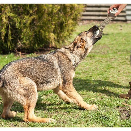 Hondenspeelgoed, robuust touwkauwspeeltje voor agressieve kauwers, interactief touwtrekken, hondentouwen voor honden, tandenpoetsen