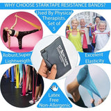 Weerstandsbanden set, 5 professionele niet-latex fitnessband elastische oefenband. Fitnessbanden weerstandsbanden 5 weerstandsniveaus voor hometraining, fysiotherapie, krachttraining, yoga, pilates