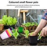 Kleine decoratieve bloempot, praktisch en veelzijdig bruikbaar, miniatuurbloempot, perfect voor kleine planten, optimale accessoires voor je tuin, kweekpotjes, 10 stuks, 10 cm, 10 kleuren