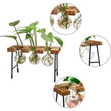 Hydrocultuur glazen vaas, hydrocultuur vaas, desktopplant, terrariumglas, met houten rek, voor hydrocultuur, planten, luchtplanten, terrarium, thuiskantoor, tuindecoratie, 3 bloemenvaas