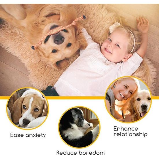 12-delige hondenspeelgoedset, duurzaam hondenspeelgoed, touwspeelgoed voor kleine huisdieren, puppyspeelgoedset, verlicht verveling en stress voor kleine, middelgrote en grote honden