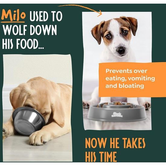 Slow Feeder voor honden, anti-schingbak, anti-schingbak voor honden, interactieve voerbak voor honden, langzame voeding, voor middelgroot/groot, grijs