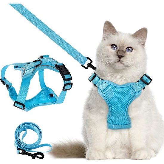 Kattenharnas met riem, 150 cm ontsnappingsbestendige kattenriem met harnas voor katten, verstelbare zachte kattenvestcontrole Ademende kattenriem met reflecterende strips (S, blauw)