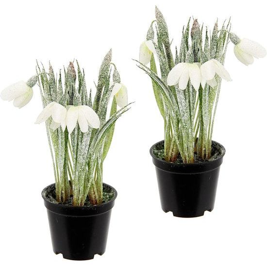 geijst lentebloeier voorjaarsbloeier oneffen lelietje-van-dalen winters decoratieve plant decoratie voorjaarsdecoratie paasdecoratie tafeldecoratie voorjaar Pasen tafeldecoratie